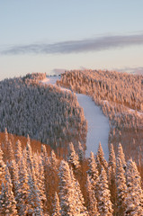 sunset on ski slopes at winter, steamboat