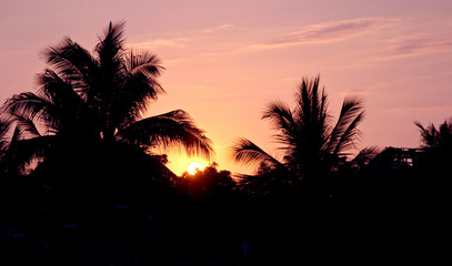 Obraz na płótnie Canvas sunset and palm trees