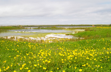 aran islands landscape