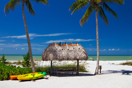 tropical paradise