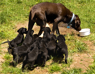 lunch time!