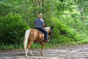 Aluminium Prints Horse riding man horseback riding
