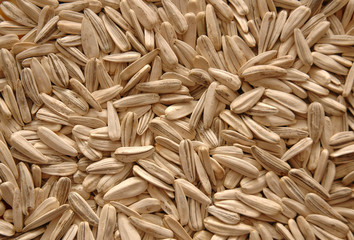 sunflower seeds