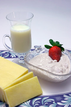 low fat dairy food group