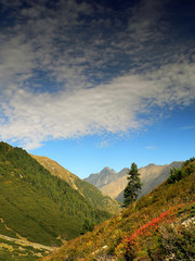 mountains landscapes