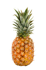 Fototapeta premium tropical fruit