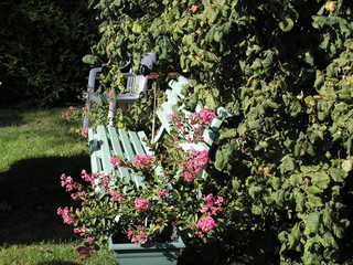 petit coin de jardin