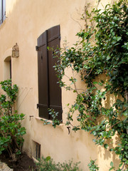 fenster