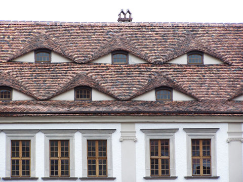 dachgauben