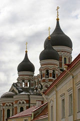 Fototapeta na wymiar tallinn cathedral domes