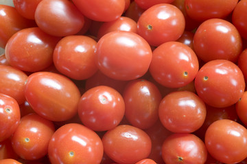 stock photo of plum tomatoes