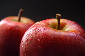 apfel, elster