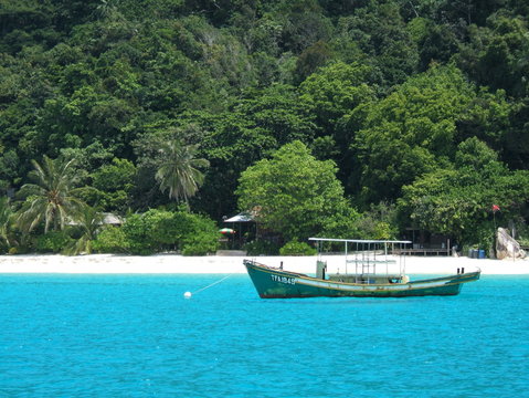 teluk kalong