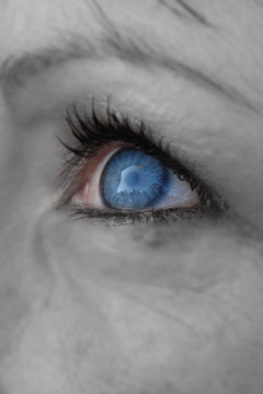 oeil bleu