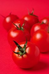 tomatoes on red background