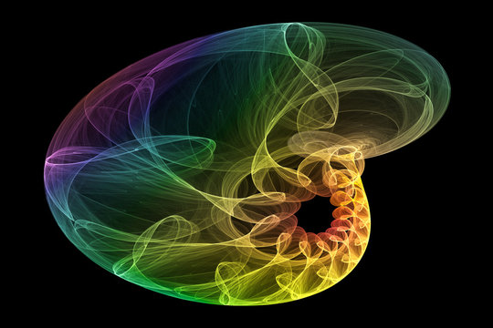 abstract seashell