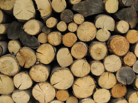 wood logs 2