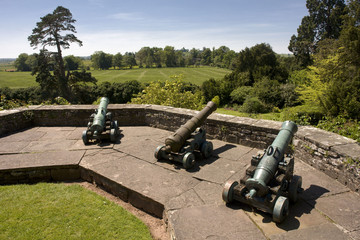 cannons castle