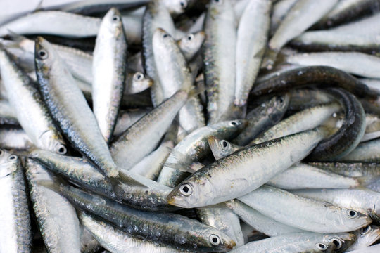 boquerones