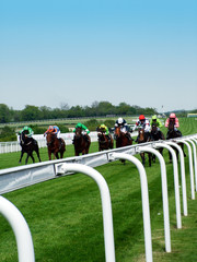 horse racing