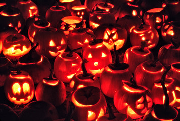 pumpkins - Powered by Adobe