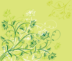 floral background, elements for design