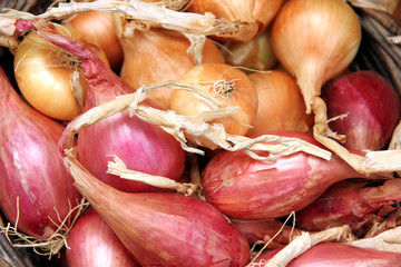 onions (shallots)