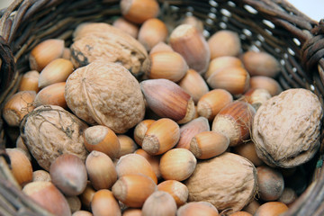 hazel nuts and walnuts
