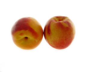 two nectarines