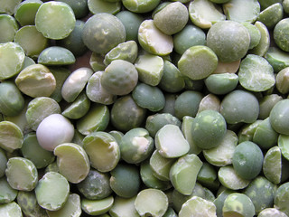 0494-lentilles vertes