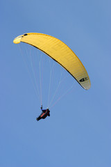 paraglider