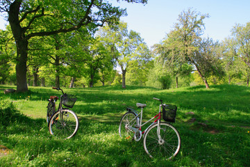 Fototapeta premium bicycle parking
