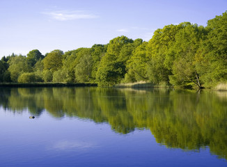 forest of dean gloucestershire midlands england