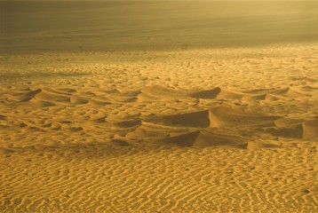 aerial view of dunes - 1343543