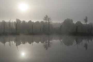 nebel am see © Michael Stifter