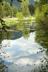 reflections on a pond 2