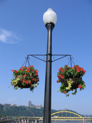 floral lamppost with bridges