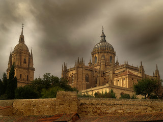 Fototapeta na wymiar Salamanca Cathedral