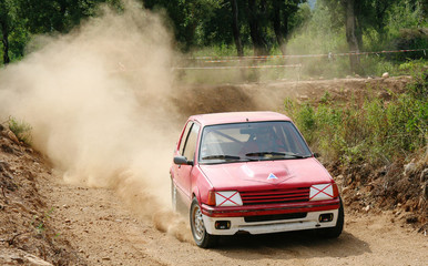 Obraz na płótnie Canvas Rallye Terre
