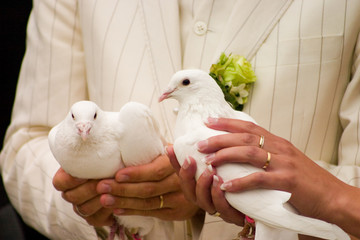 wedding doves