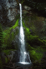 waterfall in olympic national park