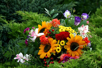 sommerstrau&szlig; im gr&uuml;nen