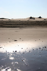 dunescape