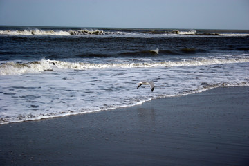 ocean
