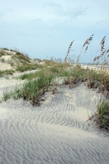 beach dunes