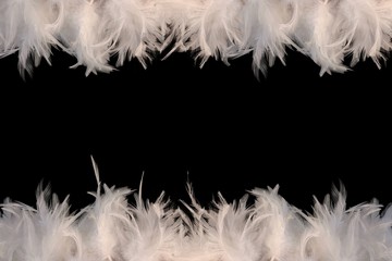 feathery frame