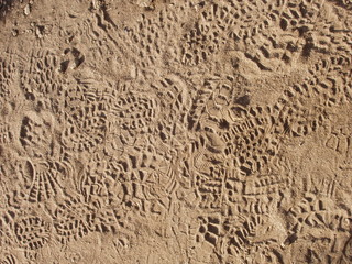 road well traveled/textured footprints