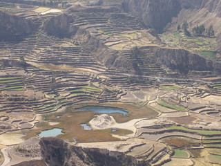 terraced peruvian landscape