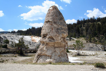 liberty cap
