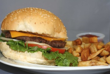 burger and fries